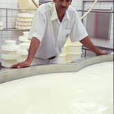 Cheese Making
